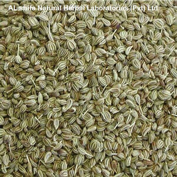Ajmod, Karfs, Apium, Celery seed