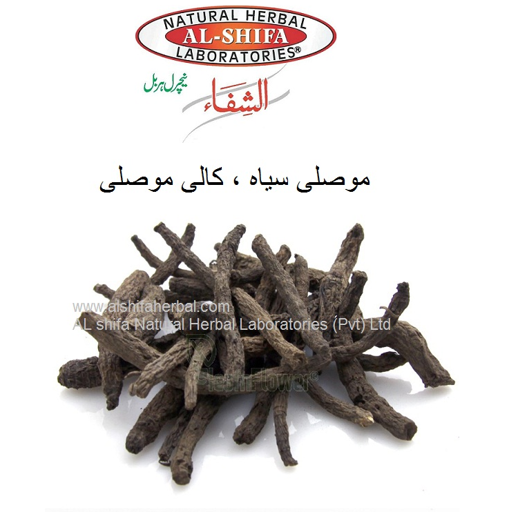 Musli Siah,  Black Musale