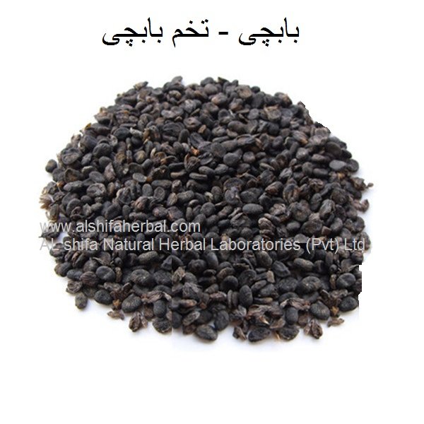Babchi Seeds