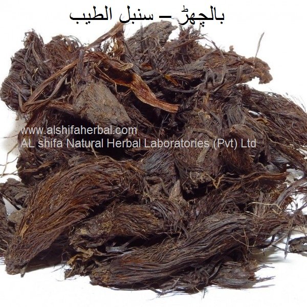 Balcharr, Spikenard