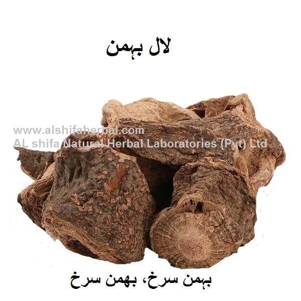 Behman Surkh, Red Sage Root