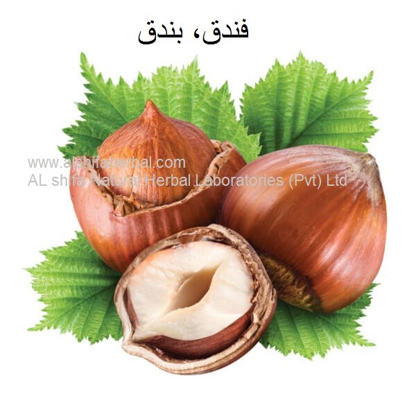 Findaq, Hazelnut - Image 4