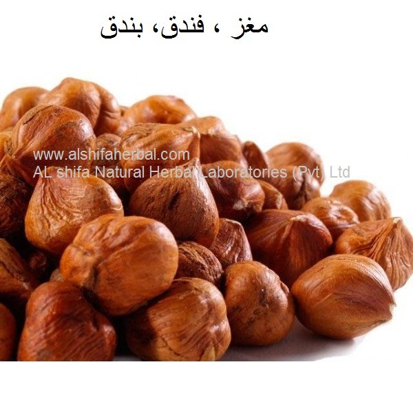 Findaq, Hazelnut - Image 2