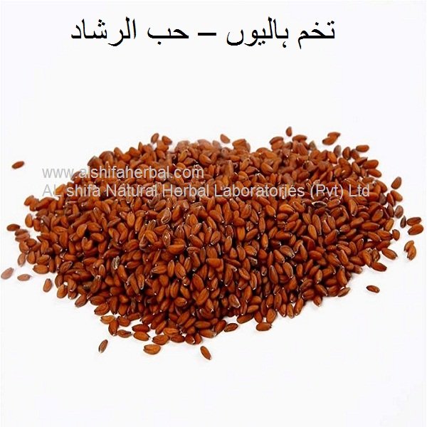 Tukhm-e-Hilyun, Garden Cress Seeds