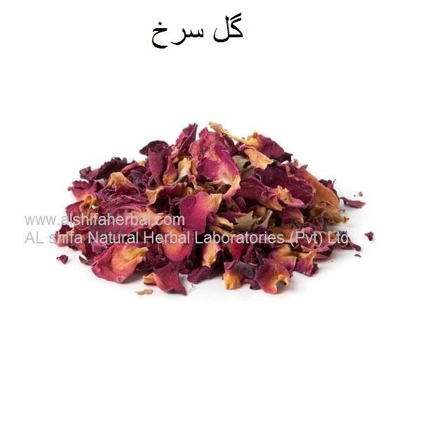 Gul surkh, Gulab, Rose - Image 4