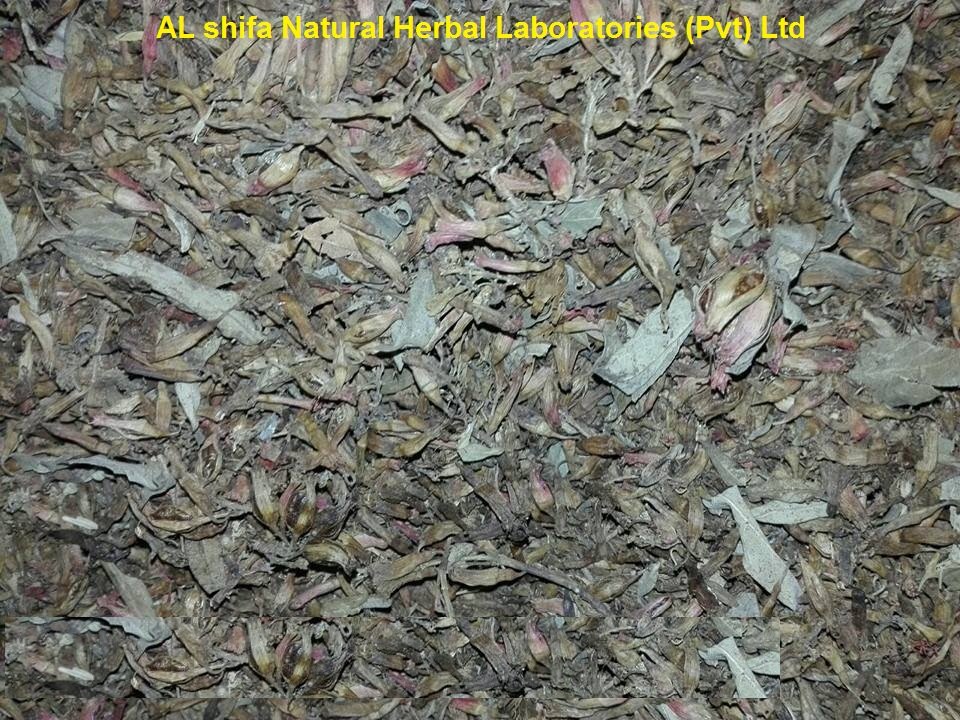 Gul Dhawa, Axle Wood Flower