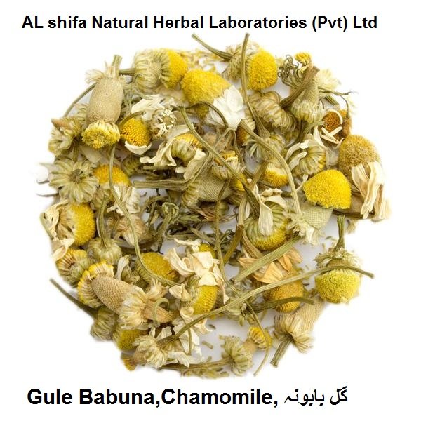 Gule Babuna,Chamomile
