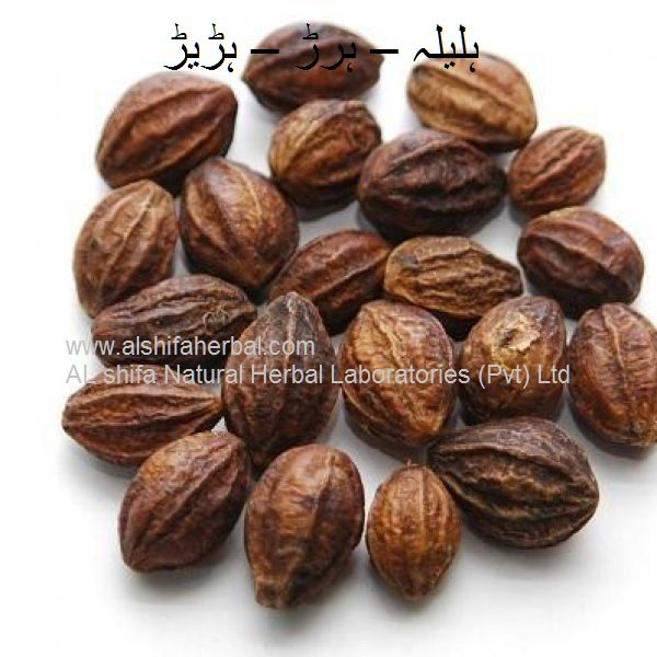Halela, Harar, Myrobalan