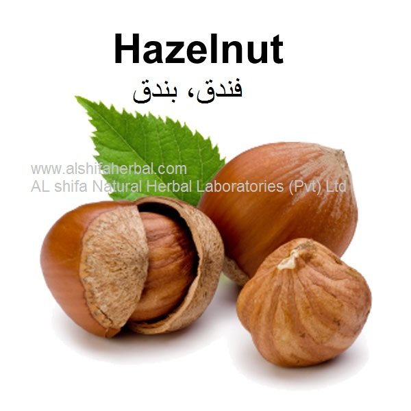 Findaq, Hazelnut - Image 3