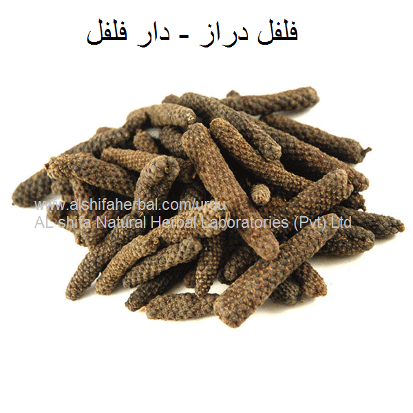 Filfil Daraz, Long Pepper