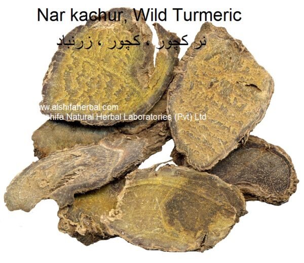 Nar kachur, Wild Turmeric - Image 3