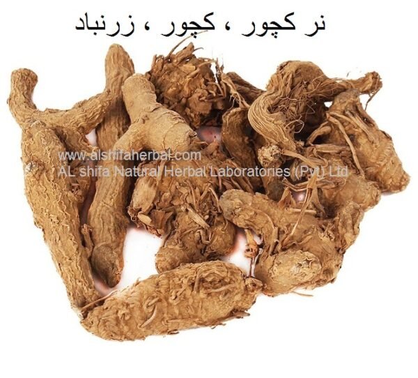 Nar kachur, Wild Turmeric - Image 2