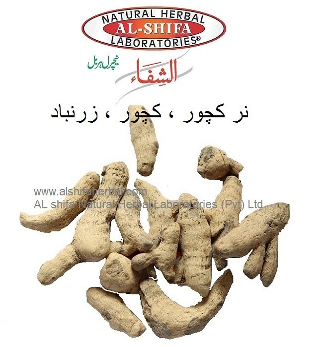 Nar kachur, Wild Turmeric