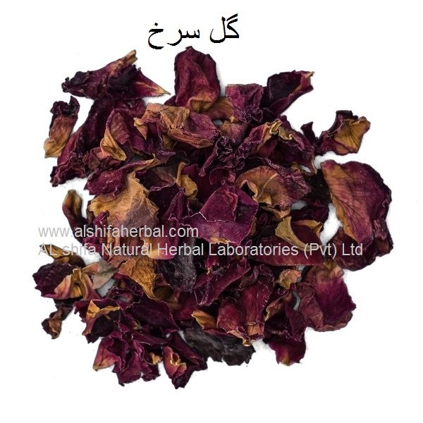 Gul surkh, Gulab, Rose - Image 3