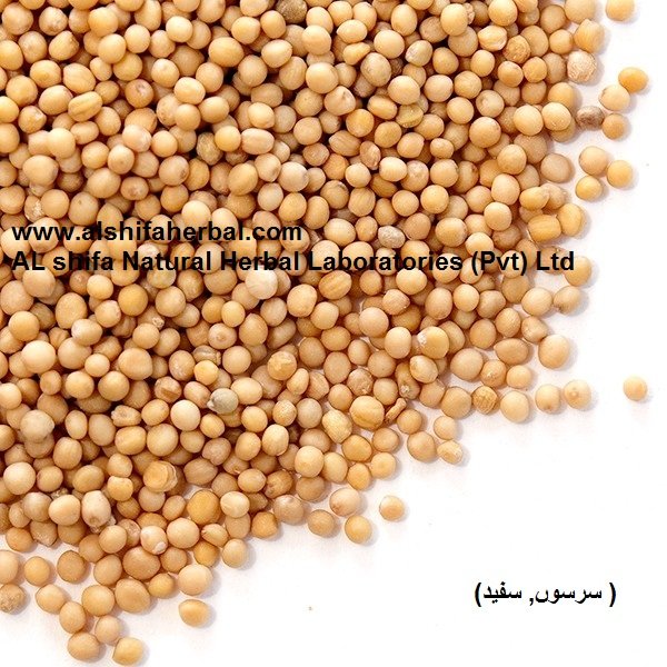 Sarson, Mustard - Image 4