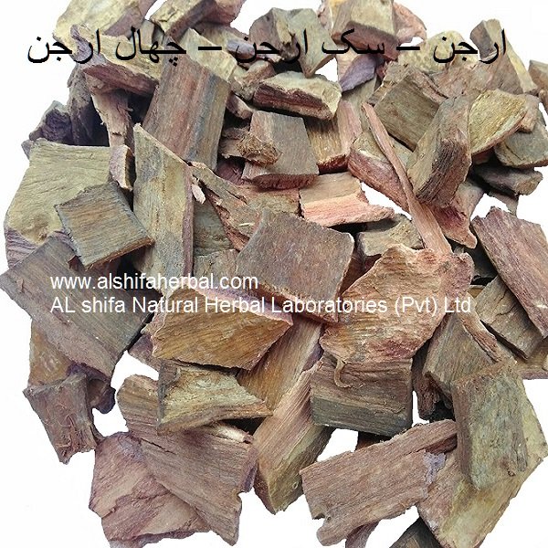 Arjun, Arjuna Myrobalan - Image 5