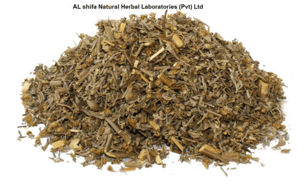 Wormwood, Afsanteen Roomi, Mugwort