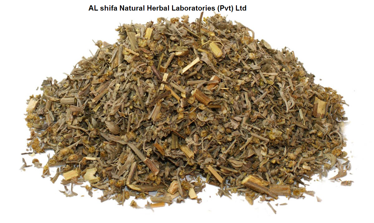 Wormwood, Afsanteen Roomi, Mugwort