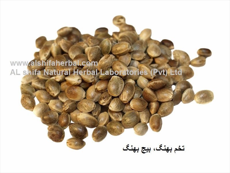 Bhaang, Hemp Seed