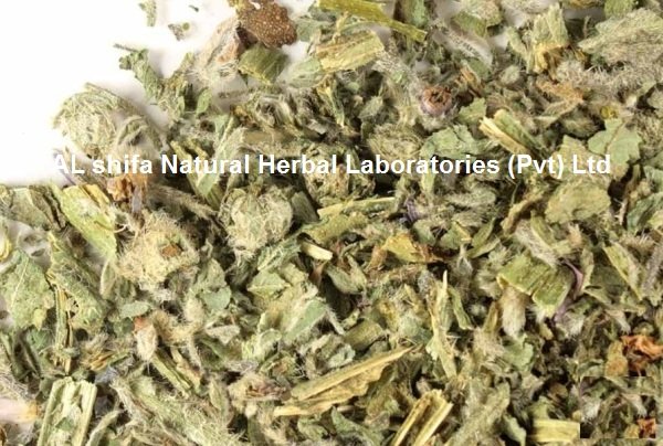 Gaozaban, Borago - Image 3