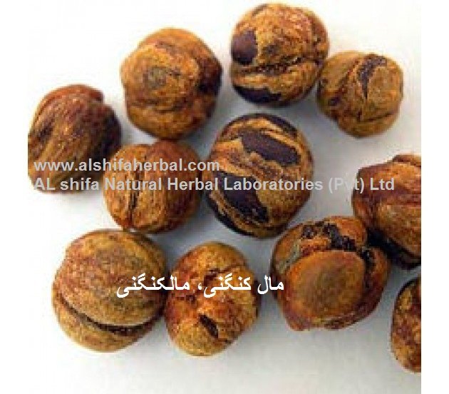 Malkangani. - Image 3