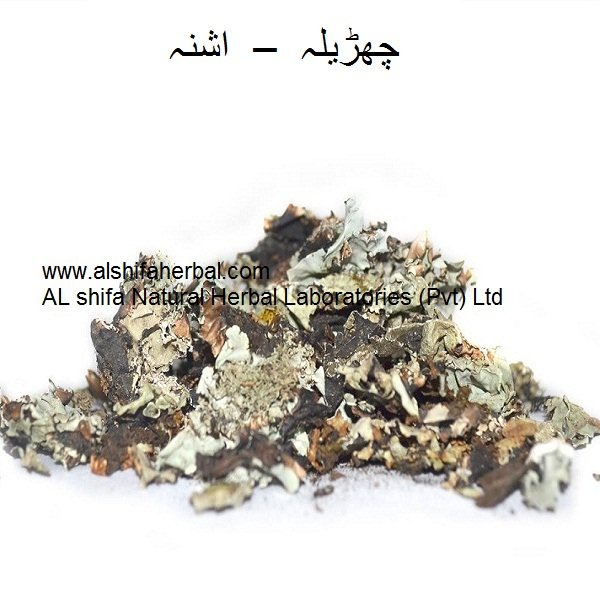 Charila, Lichen - Image 2