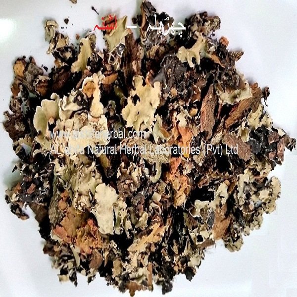 Charila, Lichen - Image 6