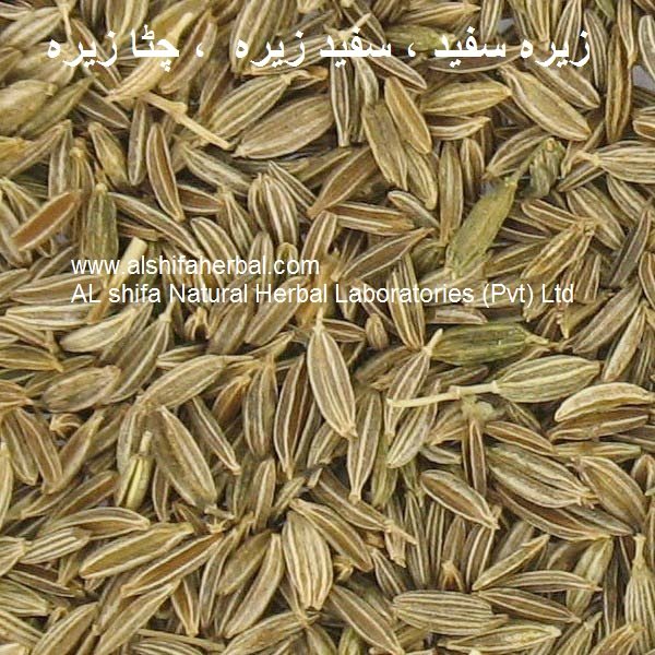 Zeera Safed, Cumin Seeds