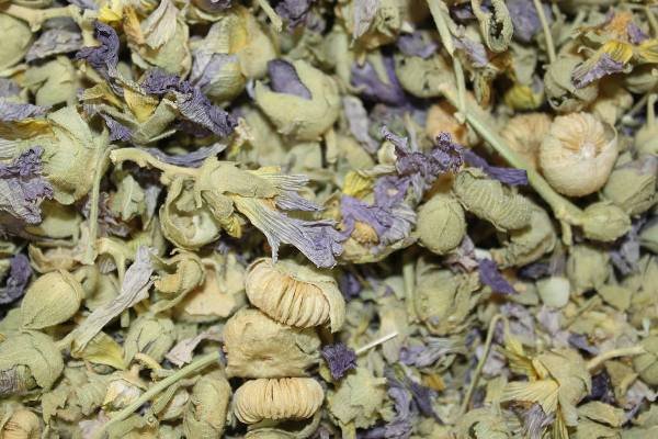 Gaozaban, Borago - Image 4