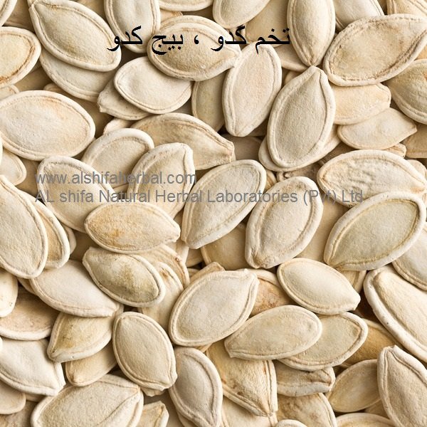 Tukhm-e-Kadu, Pumpkin Seeds