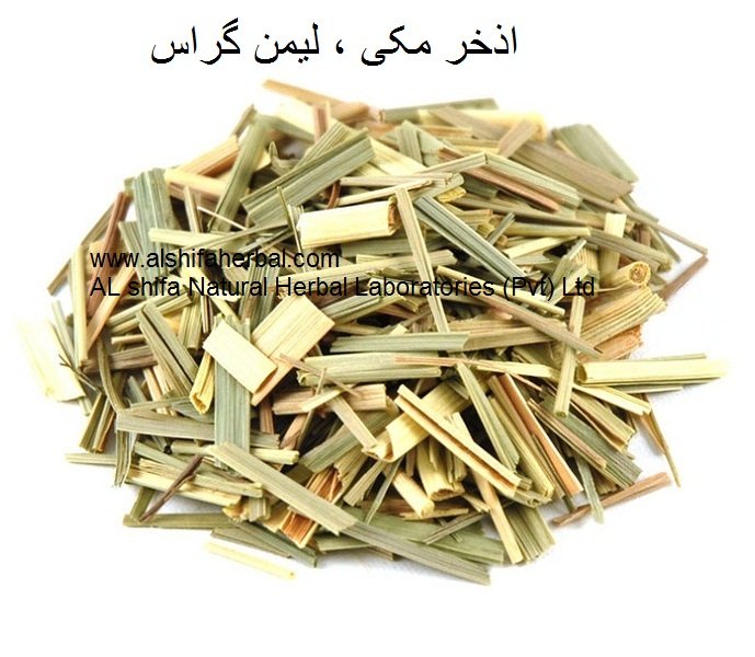 Izkhar Makki, Lemongrass