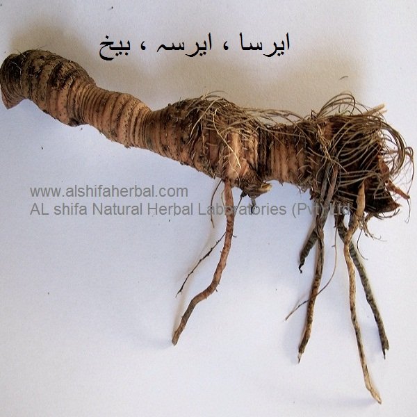 Irsa, Orris Root - Image 3