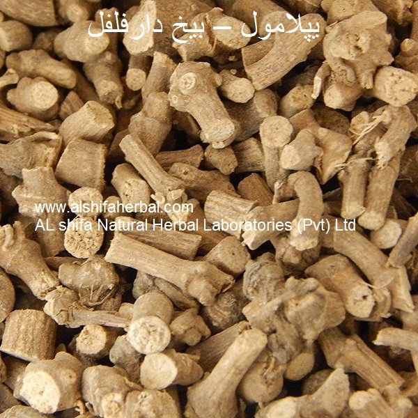 Piplamool, Long Pepper Root