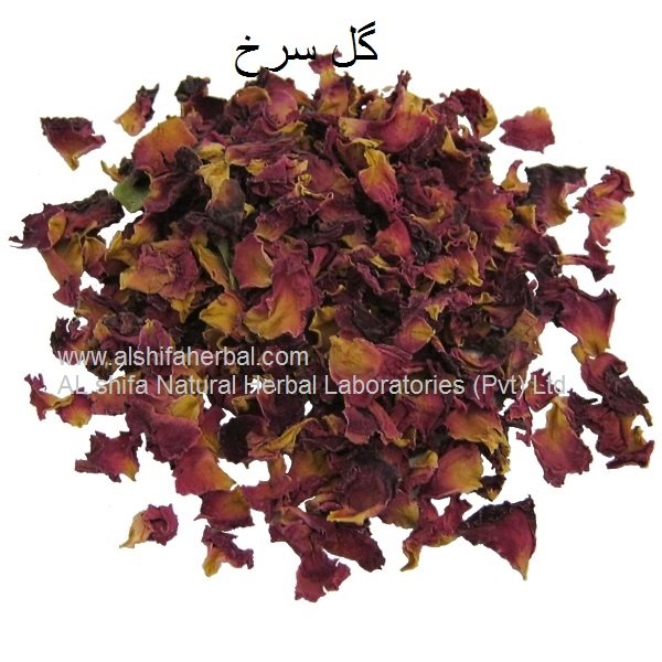 Gul surkh, Gulab, Rose - Image 2