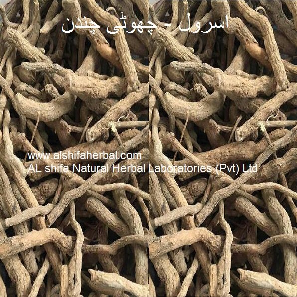 Choti Chandan, Indian Snakeroot