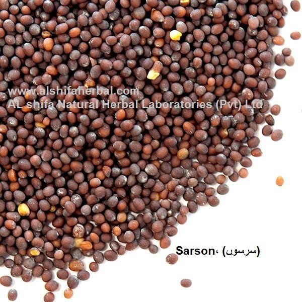 Sarson, Mustard